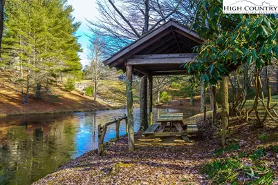 Tract 101 Valle Cay Drive, Vilas, NC 28692 - Photo 7