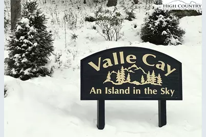 Tract 101 Valle Cay Drive, Vilas, NC 28692 - Photo 17