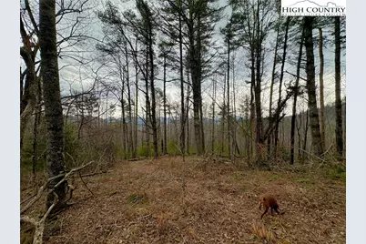 Tbd Mantera Ridge, Sugar Grove, NC 28679 - Photo 9