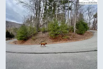 Tbd Mantera Ridge, Sugar Grove, NC 28679 - Photo 1