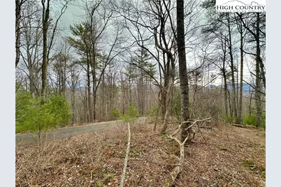 Tbd Mantera Ridge, Sugar Grove, NC 28679 - Photo 5