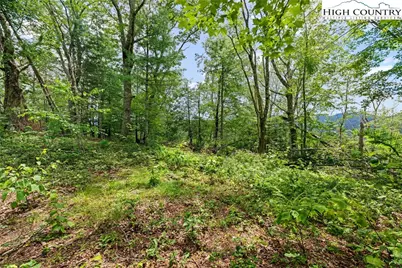 Lot 41 White Fox Lane, Banner Elk, NC 28604 - Photo 5