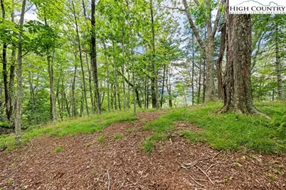 Lot 41 White Fox Lane, Banner Elk, NC 28604 - Photo 7