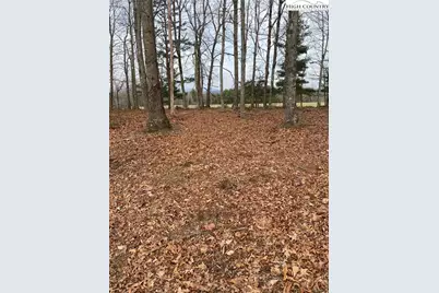 48 Saddle Mountain Church Road, Ennice, NC 28623 - Photo 11