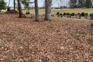 48 Saddle Mountain Church Rd, Ennice, NC 28623 - Photo 17