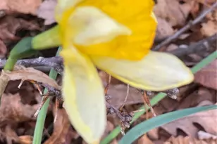 48 Saddle Mountain Church Rd, Ennice, NC 28623 - Photo 23