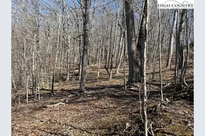 Lot 45 Happyland Road #45, Piney Creek, NC 28631 - Photo 7