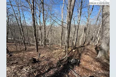 Lot 45 Happyland Road #45, Piney Creek, NC 28631 - Photo 1