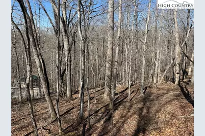 Lot 45 Happyland Road #45, Piney Creek, NC 28631 - Photo 3