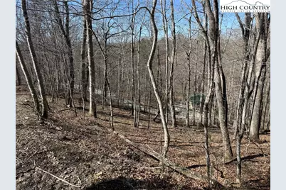 Lot 45 Happyland Road #45, Piney Creek, NC 28631 - Photo 5