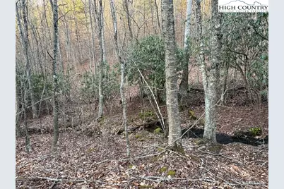 Tbd Prathers Creek Church Road, Laurel Springs, NC 28644 - Photo 7