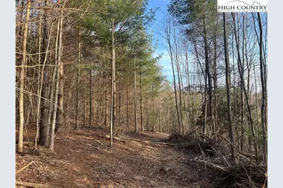 Tbd Prathers Creek Church Road, Laurel Springs, NC 28644 - Photo 21