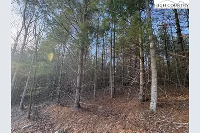 Tbd Prathers Creek Church Road, Laurel Springs, NC 28644 - Photo 27