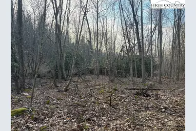 Tbd Prathers Creek Church Road, Laurel Springs, NC 28644 - Photo 11