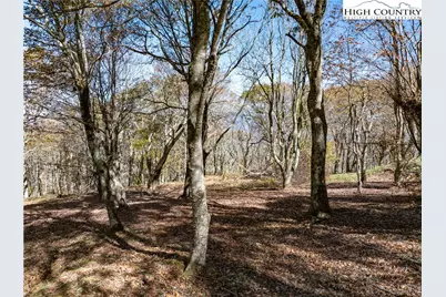 663 Rocky Parkway, Banner Elk, NC 28607 - Photo 3