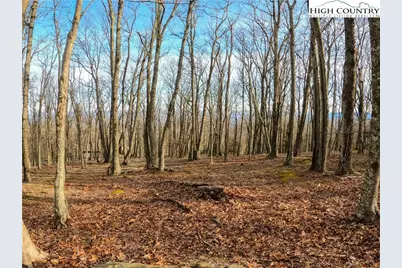 663 Rocky Parkway, Banner Elk, NC 28607 - Photo 5