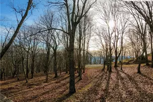 663 Rocky Pkwy, Banner Elk, NC 28607 - Photo 1