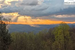 137 Burningbush Trl, Boone, NC 28607 - Photo 3