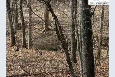 45 Happy Ridge Road, Piney Creek, NC 28631 - Photo 5