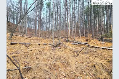 Tba Pine Springs Dr, Jefferson, NC 28640 - Photo 15