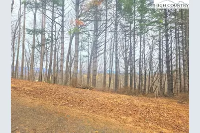 Tba Pine Springs Dr, Jefferson, NC 28640 - Photo 7