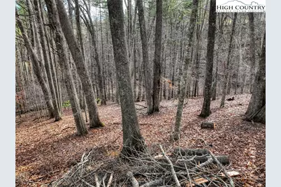 Tba Pine Springs Dr, Jefferson, NC 28640 - Photo 13