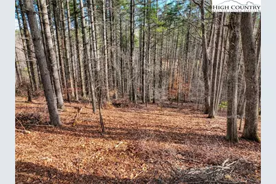 Tba Pine Springs Dr, Jefferson, NC 28640 - Photo 11