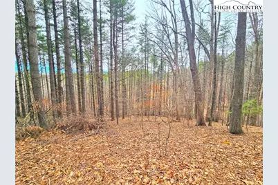 Tba Pine Springs Dr, Jefferson, NC 28640 - Photo 3