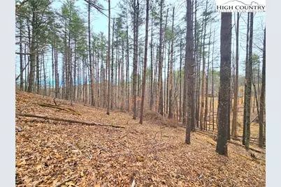 Tba Pine Springs Dr, Jefferson, NC 28640 - Photo 9