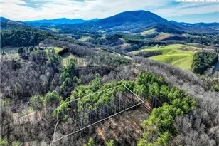 Tba Pine Springs Dr, Jefferson, NC 28640 - Photo 1