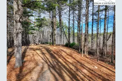 Tba Pine Springs Dr, Jefferson, NC 28640 - Photo 5