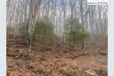 212 Jackpine Road, Beech Mountain, NC 28604 - Photo 5