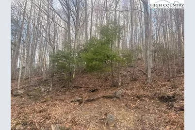 212 Jackpine Road, Beech Mountain, NC 28604 - Photo 1