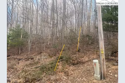 212 Jackpine Road, Beech Mountain, NC 28604 - Photo 3