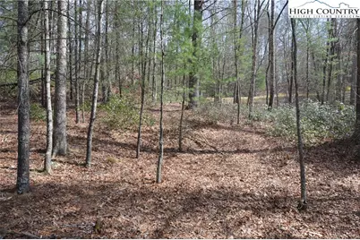 Lot #6 Cubs Lane, Sparta, NC 28675 - Photo 5