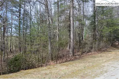 Lot #6 Cubs Lane, Sparta, NC 28675 - Photo 19