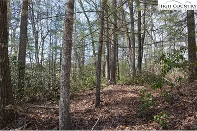Lot #6 Cubs Lane, Sparta, NC 28675 - Photo 15