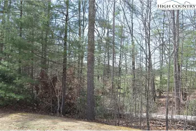 Lot #6 Cubs Lane, Sparta, NC 28675 - Photo 33