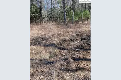 Tbd Starmount Lane, Sparta, NC 28675 - Photo 11