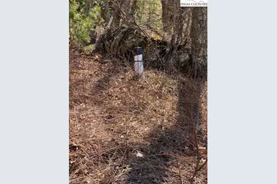 Tbd Starmount Lane, Sparta, NC 28675 - Photo 15