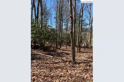 Tbd Starmount Lane, Sparta, NC 28675 - Photo 23