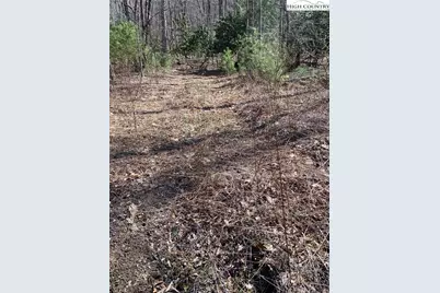 Tbd Starmount Lane, Sparta, NC 28675 - Photo 21