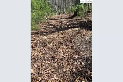 Tbd Starmount Lane, Sparta, NC 28675 - Photo 17