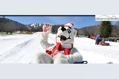 515 Grey Fox Ridge Road, Banner Elk, NC 28604 - Photo 27