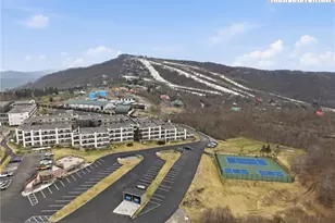 301 Pinnacle Inn Rd, Beech Mountain, NC 28604 - Photo 27