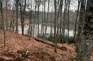 114 Lady Slipper Loop, Newland, NC 28657 - Photo 41