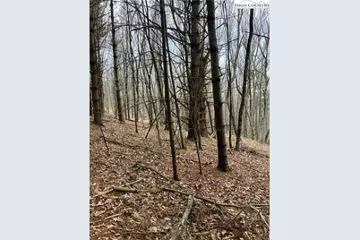 Tbd New Hope Church Road, Laurel Springs, NC 28644 - Photo 15