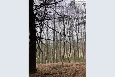 Tbd New Hope Church Road, Laurel Springs, NC 28644 - Photo 17