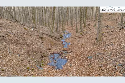 632 Big Tree Road, West Jefferson, NC 28694 - Photo 41