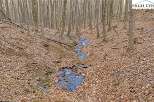 632 Big Tree Rd, West Jefferson, NC 28694 - Photo 41